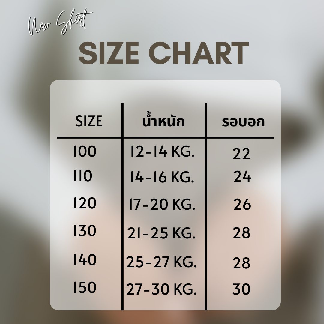 ชุดเจ้าหญิงราพันเซล 